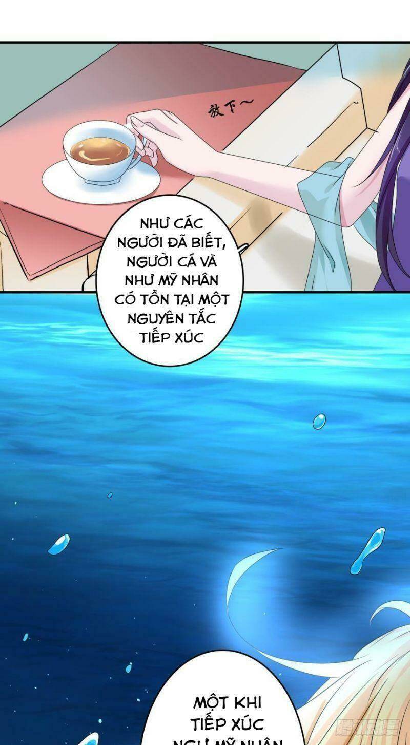 Nhân Ngư Học Trưởng, Đừng Ôm Ta!: Chapter 51