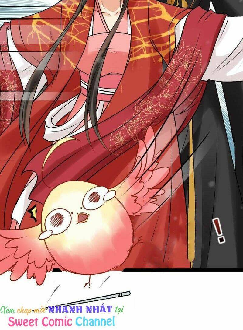 Thịnh Sủng Kiều Nữ Trở Về Triều Ca: Chapter 28