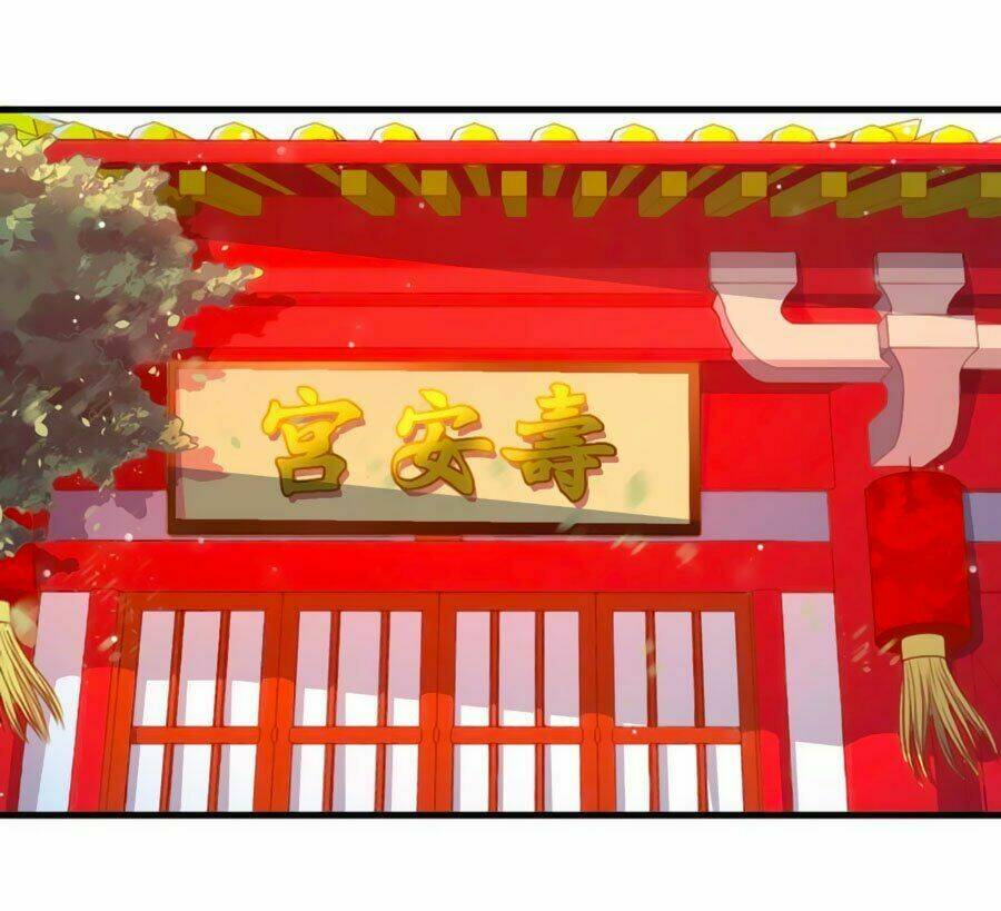 Khuynh Thế Y Phi Muốn Bỏ Chồng: Chapter 5