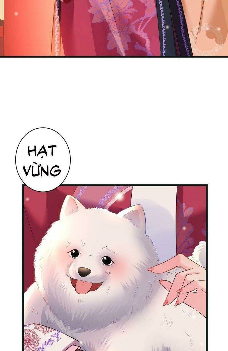 Quận Chúa Vững Vàng, Thiết Lập Nhân Vật Không Thể Vỡ: Chapter 55