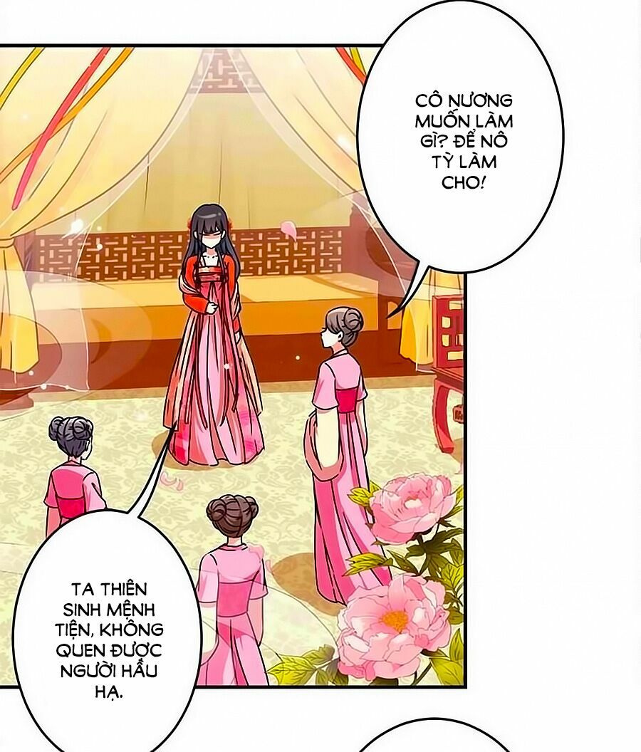 Vương Gia ! Ngươi Thật Bỉ Ổi !: Chapter 296
