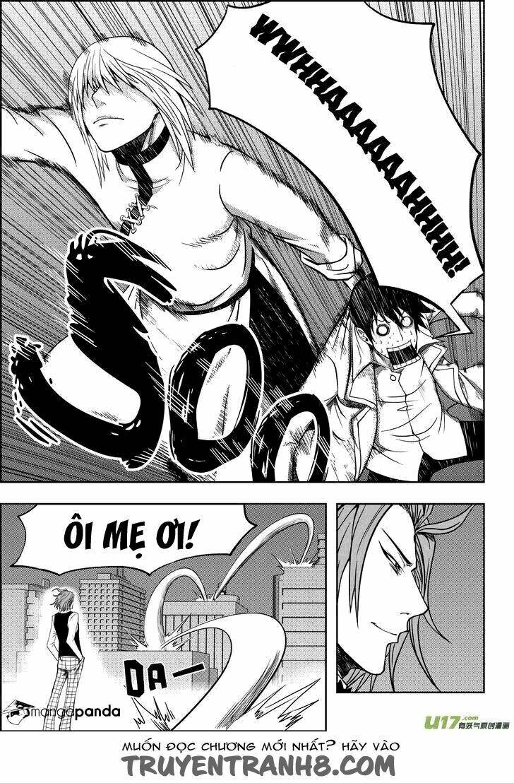 Macrophage Regulation: Chapter 6