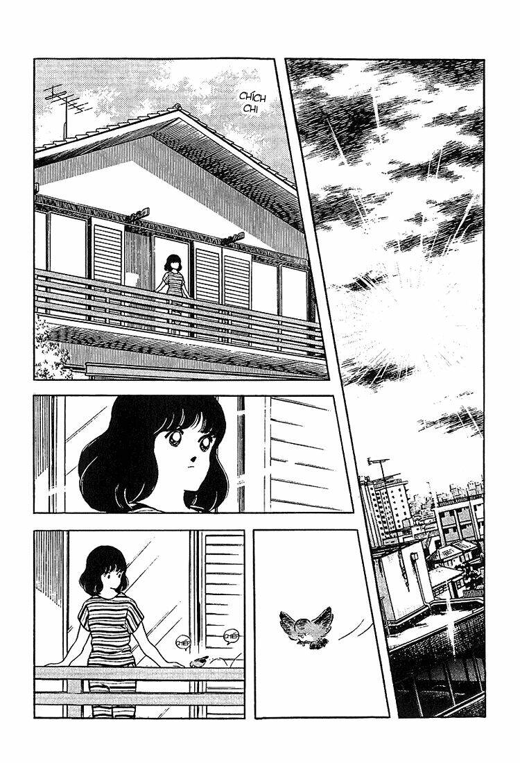 Touch: Chapter 211