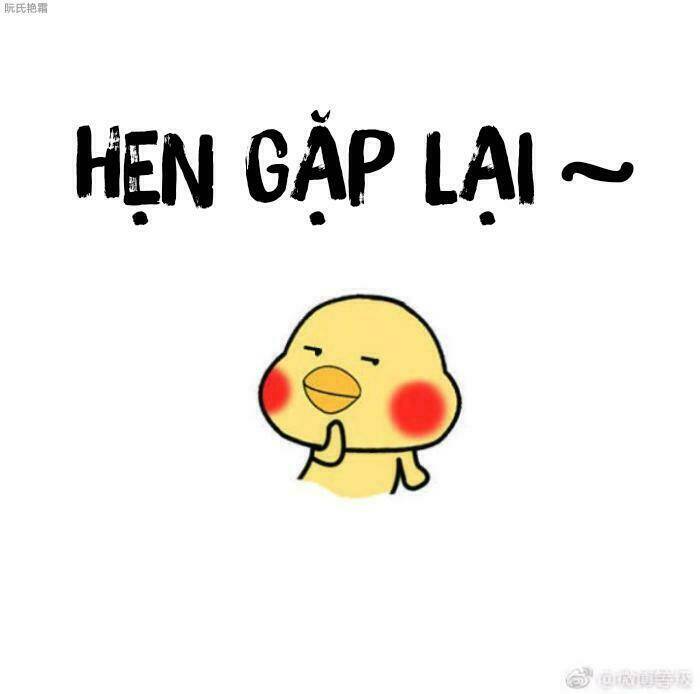 Trọng Sinh Noãn Hôn Khinh Sủng Thê: Chapter 17