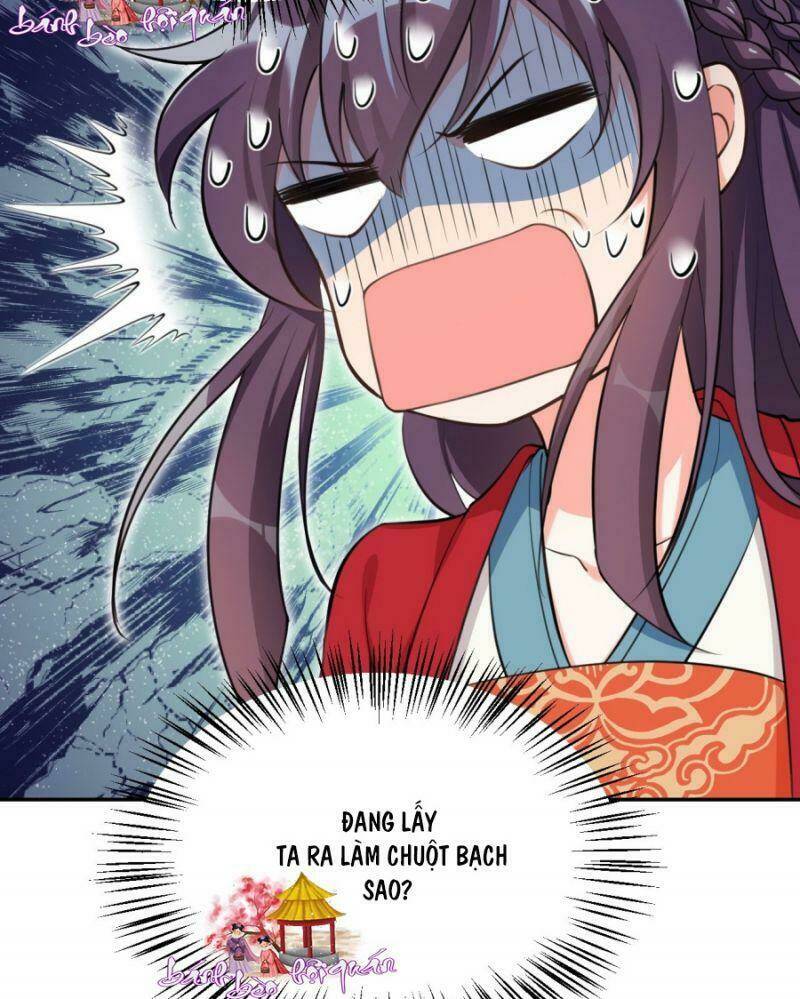 Nữ Tiên Tôn Bận Đào Hôn: Chapter 8