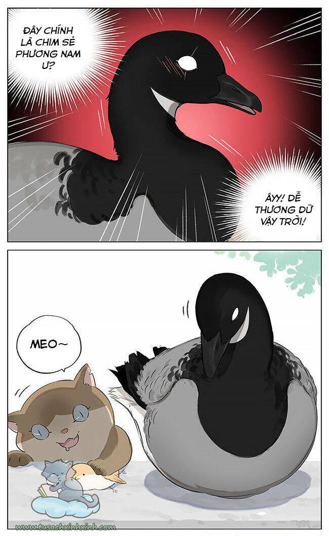 Chim Sẻ Gọi Ngỗng Trời: Chapter 1