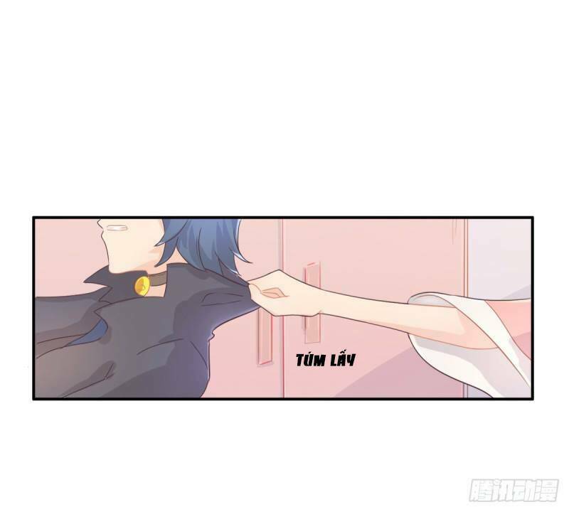 Song Miêu Đồ Đằng: Chapter 2