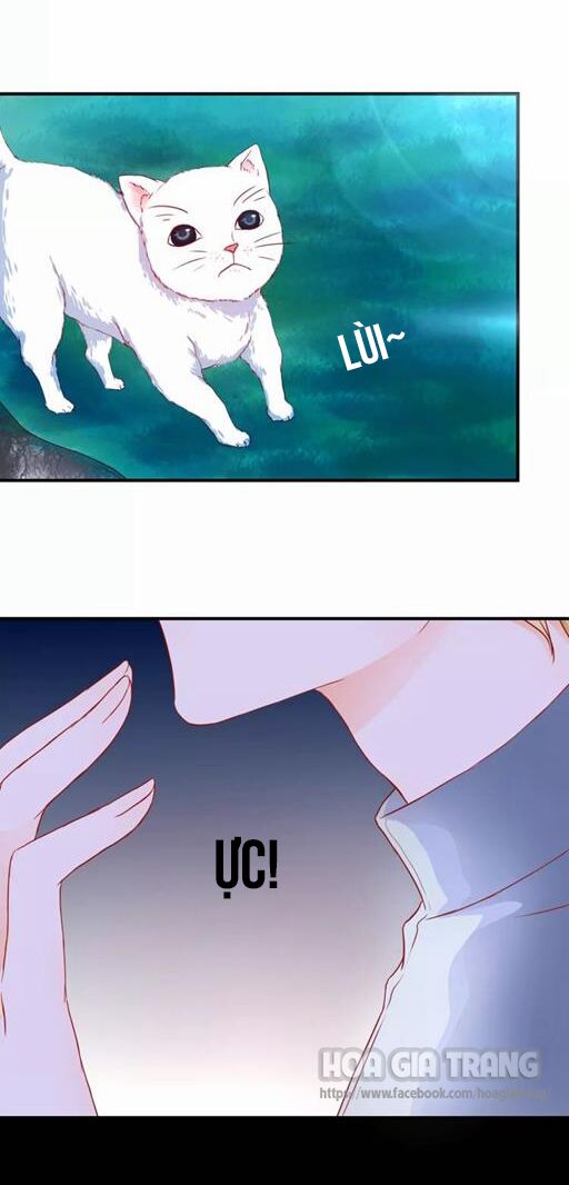 Ở lại thế kỷ này: Chapter 4