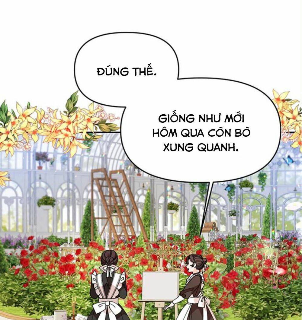 Con Người Không Phải Thứ Có Thể Sửa Rồi Dùng Được Đâu!: Chapter 12