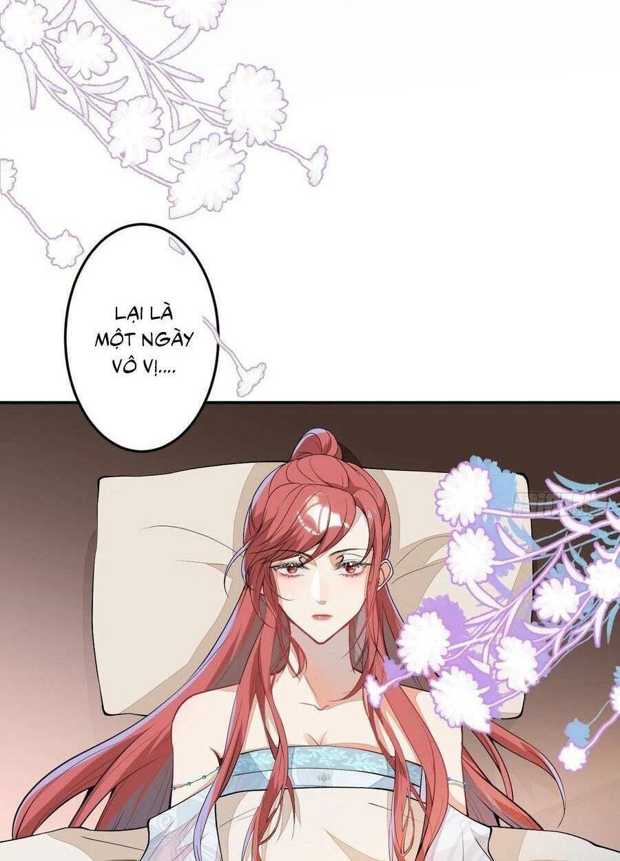 Xuyên Không Đến Thế Giới Trở Thành Đóa Hoa Của Anh: Chapter 62.5
