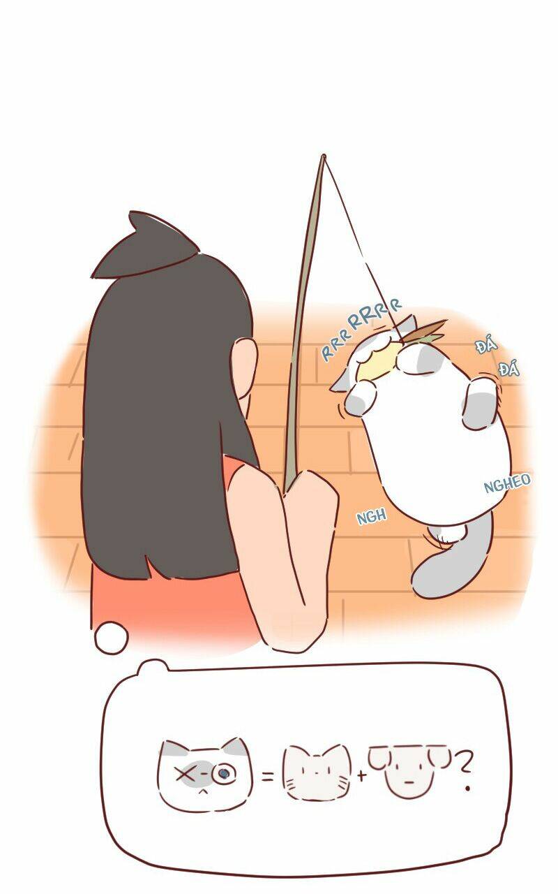 Saphie: Chú mèo một mắt: Chapter 27