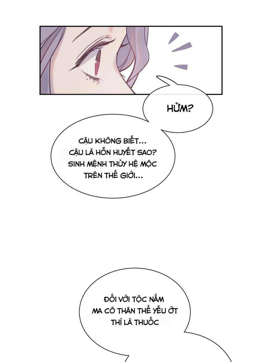 Nhật Ký Nấm Ma Cô: Chapter 3