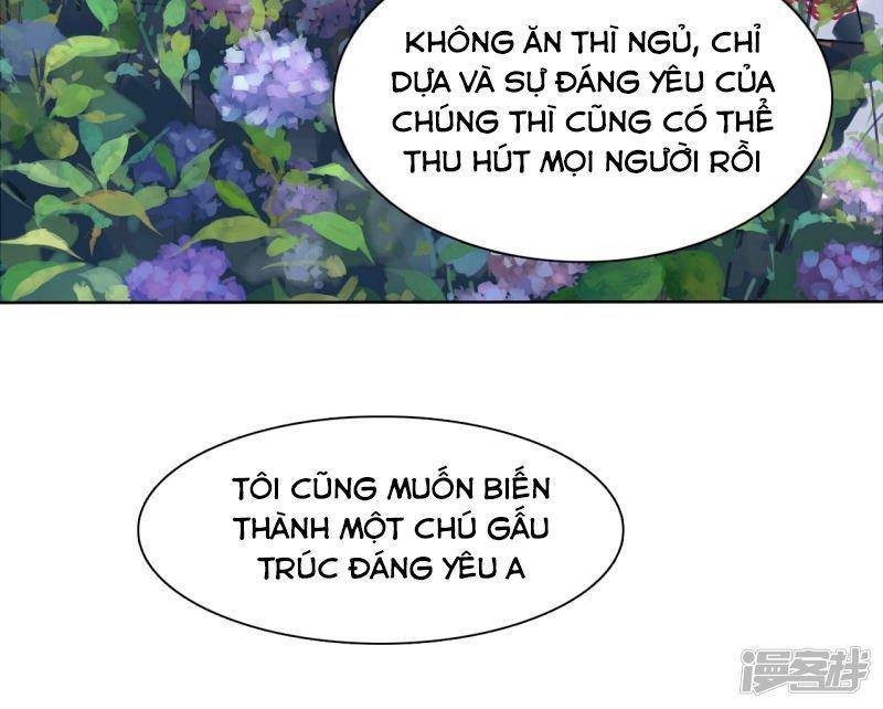 Xuyên Về Cổ Đại Làm Quốc Bảo: Chapter 0