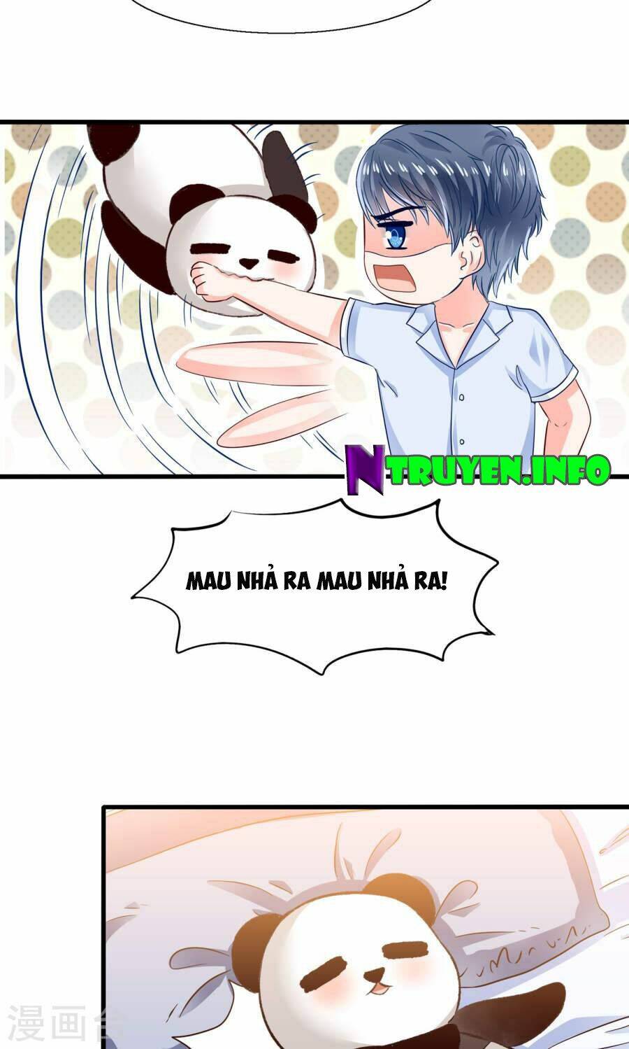 Tôi Bị Gấu Trúc Nhìn Trúng Rồi: Chapter 8