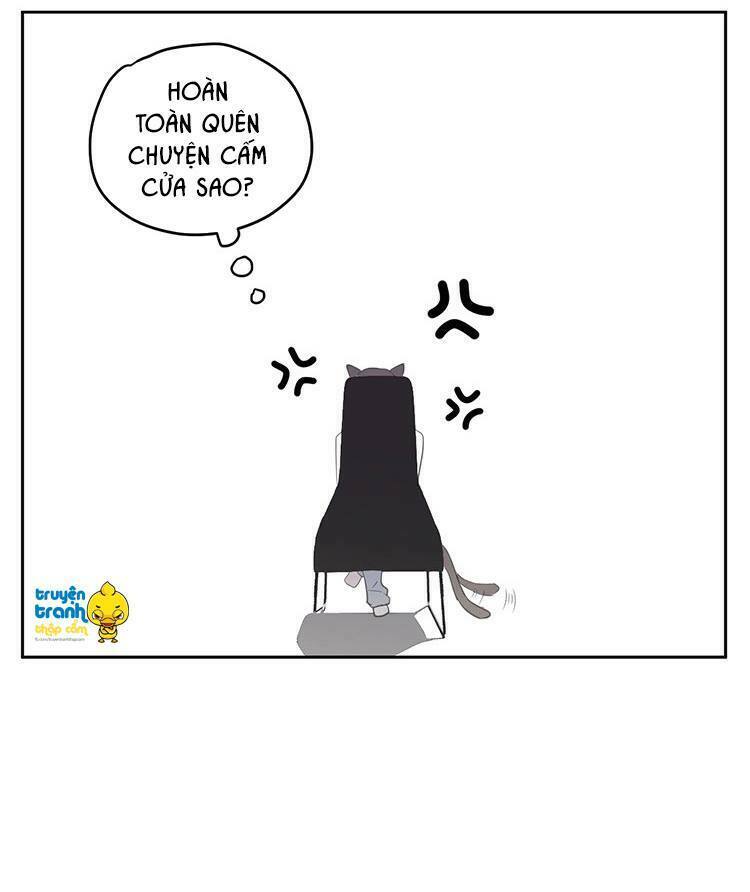 Cứu mạng ! Loài mèo thống trị thế giới rồi !: Chapter 18