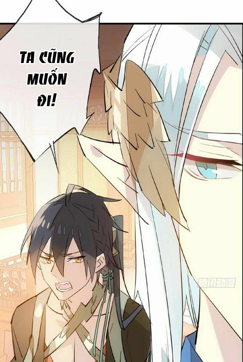 Sư Phụ Lại Trêu Chọc Ta: Chapter 39