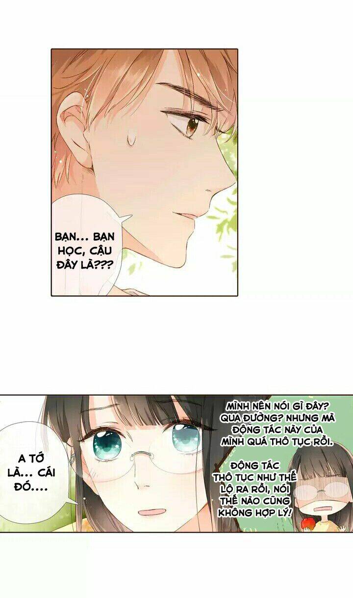 Tình Yêu Là Màu Hoa Anh Thảo: Chapter 28.2