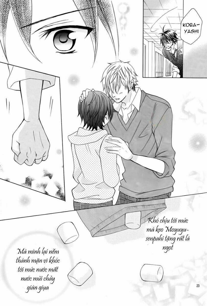 Cuộc Gặp Gỡ Diệu Kỳ: Chapter 12