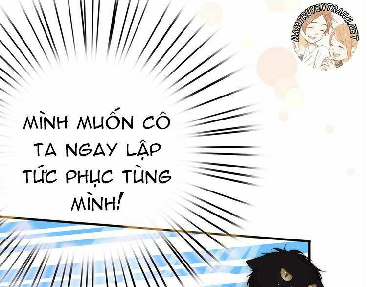 Viện Bảo Tàng Tâm Nguyện: Chapter 2.1