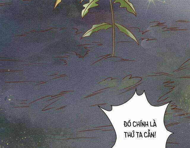 Thịnh Sủng Y Phi Chi Dao Quan Truyện: Chapter 55