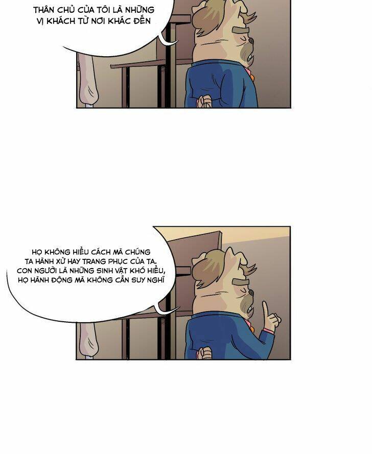 Elf & Warrior: Chapter 2