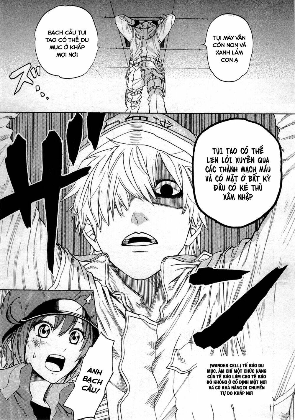 Hataraku Saibou!: Chapter 1