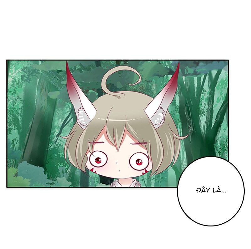 Thông Linh Phi: Chapter 315
