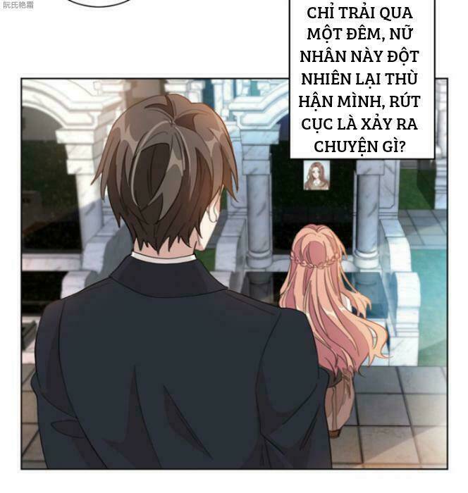 Trọng Sinh Noãn Hôn Khinh Sủng Thê: Chapter 3