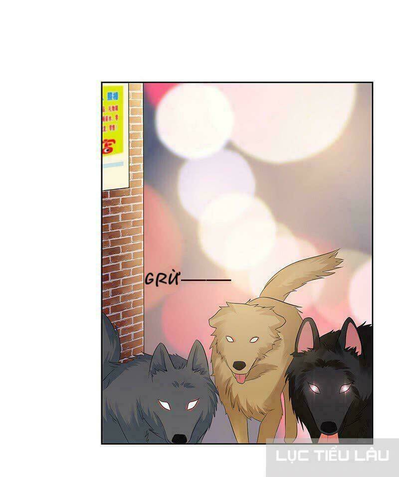 Băng Sơn Học Trưởng Không Được Chọc: Chapter 13