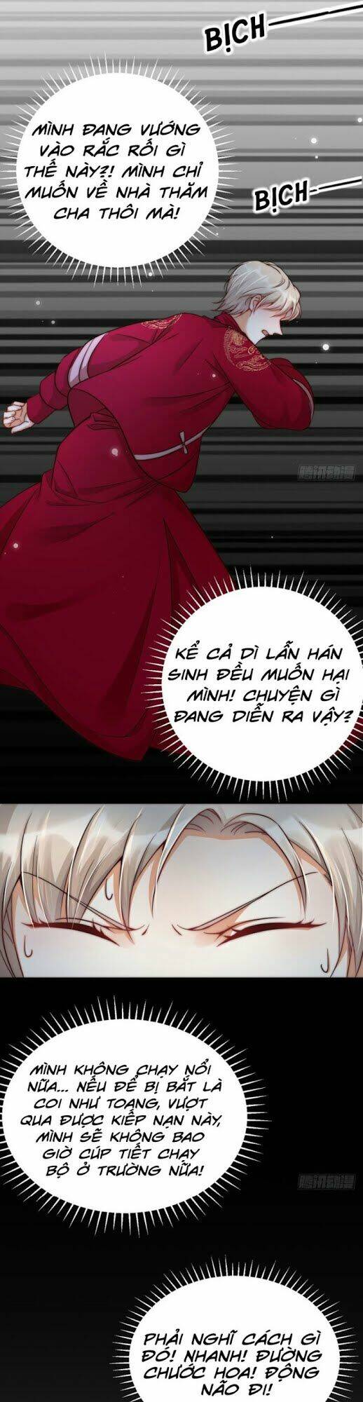 Phu Phu Khuynh Thành: Chapter 4