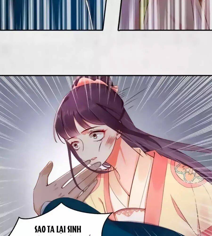 Hoạn Phi Hoàn Triều: Chapter 27