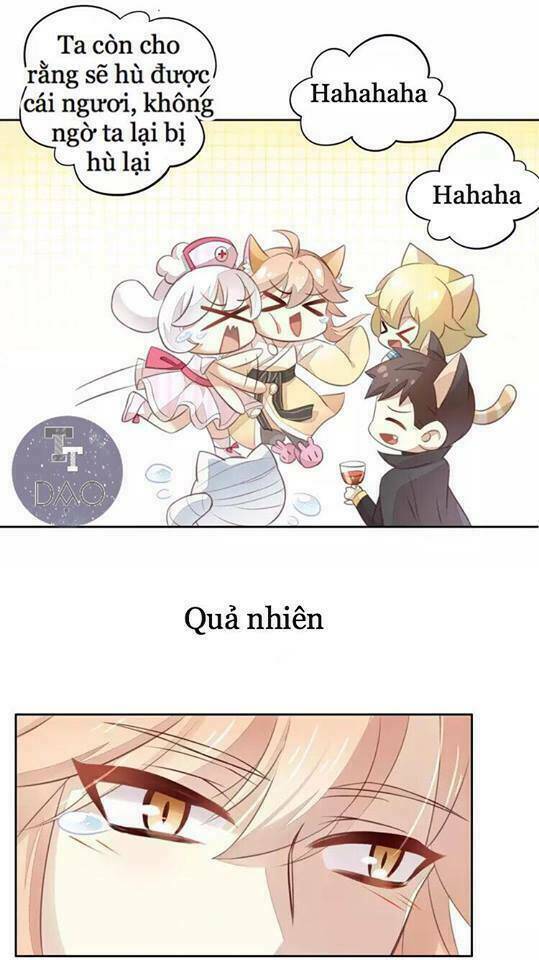 Dưới Móng Vuốt Mèo: Chapter 18