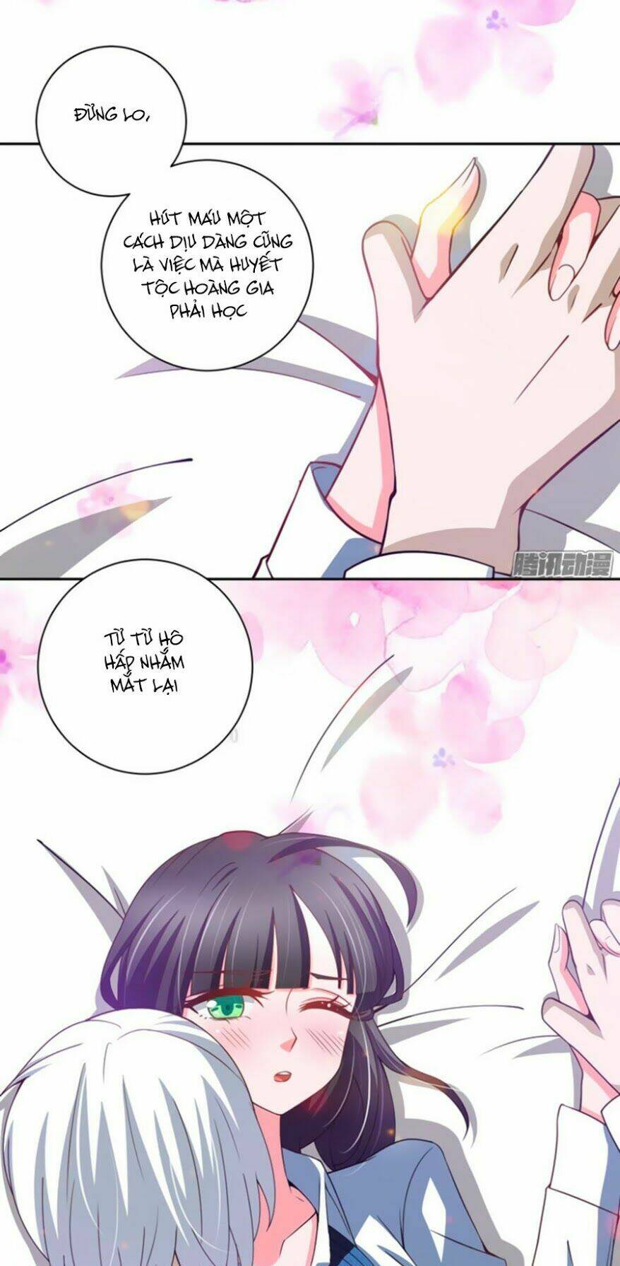 Người Yêu Khát Máu Của Tôi: Chapter 30