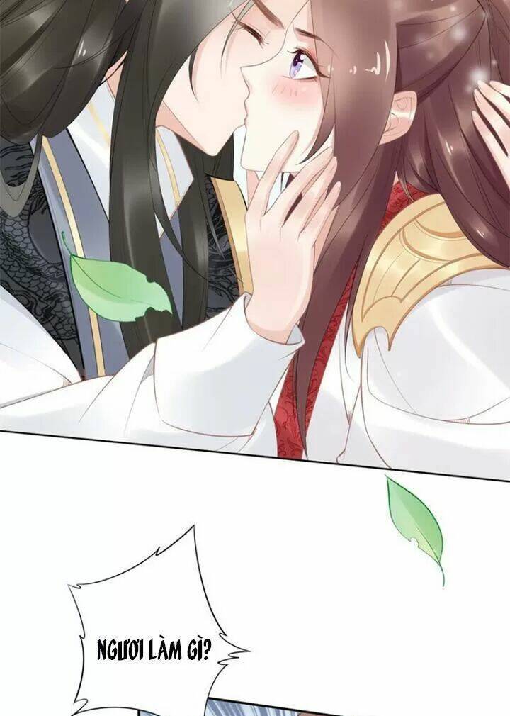 Nhất Sinh Nhất Thế Tiếu Thương Khung: Chapter 70