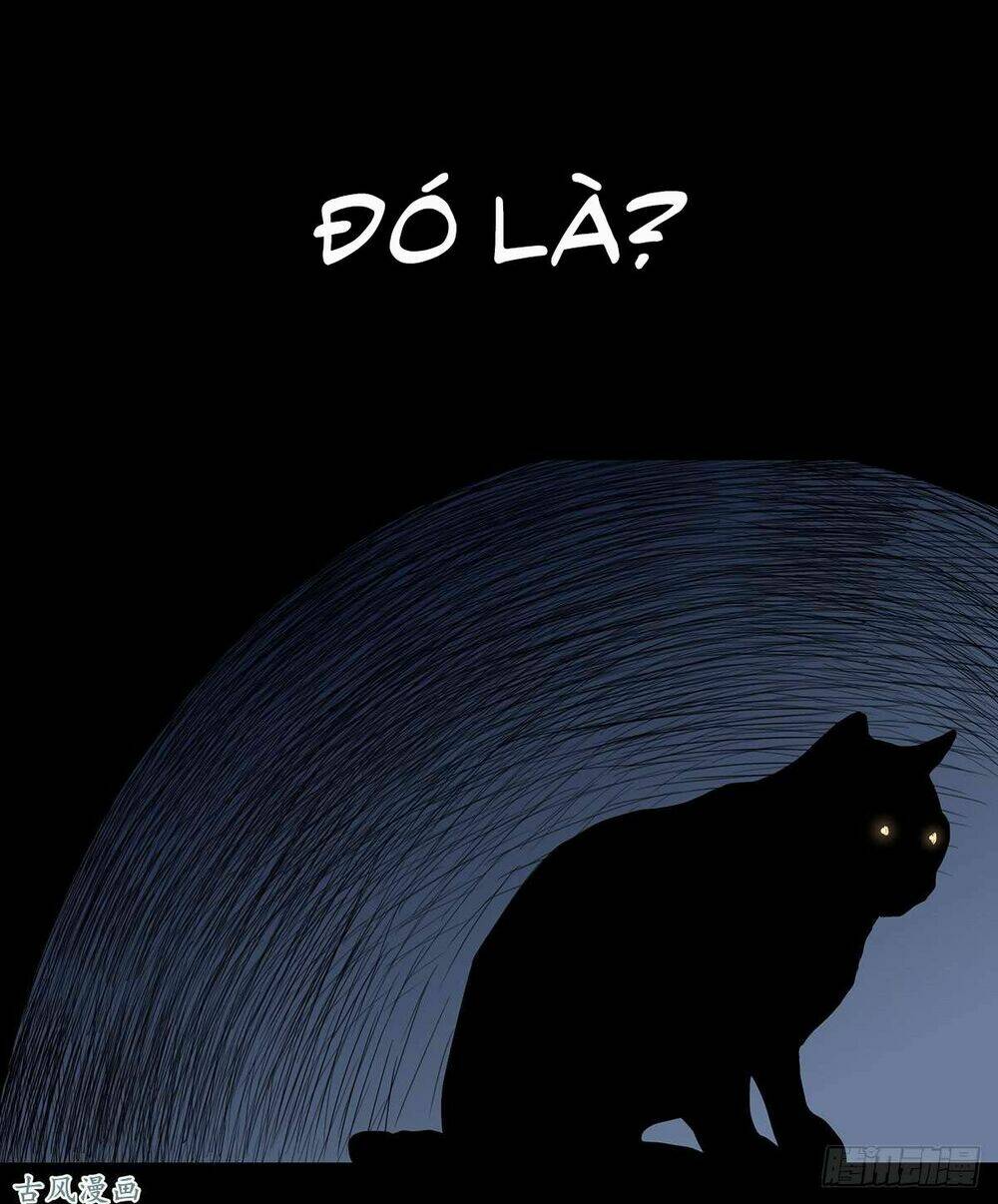 Ẩn Số Về Tứ Gia: Chapter 2