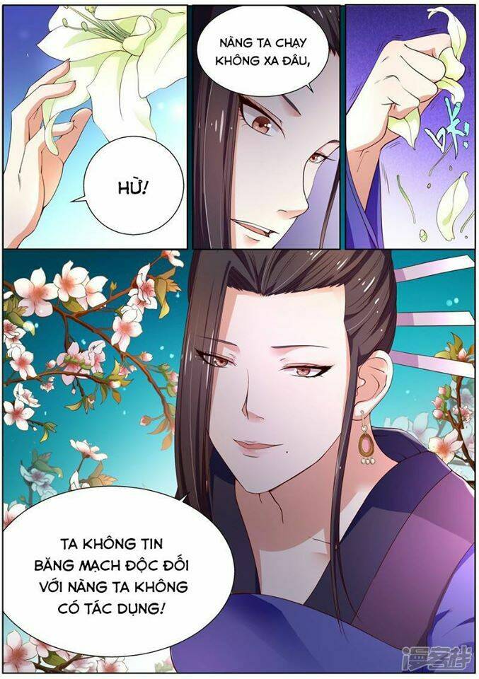 Bạch Chỉ Y Tiên: Chapter 2