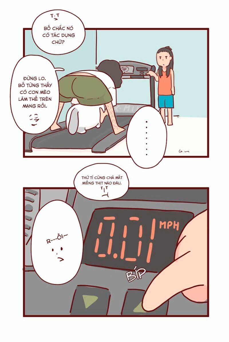 Saphie: Chú mèo một mắt: Chapter 12