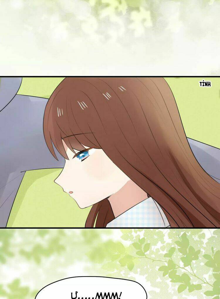 Tiểu Miêu Và Hắc Diệu Thạch: Chapter 1