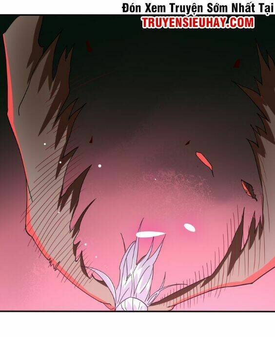 Thiên Mệnh Cửu Tinh: Chapter 2