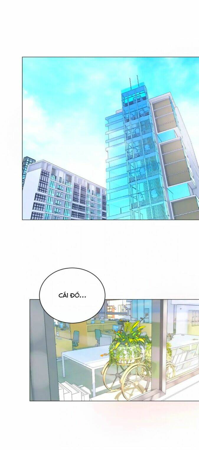 Chào Buổi Sáng, Hướng Dương: Chapter 41