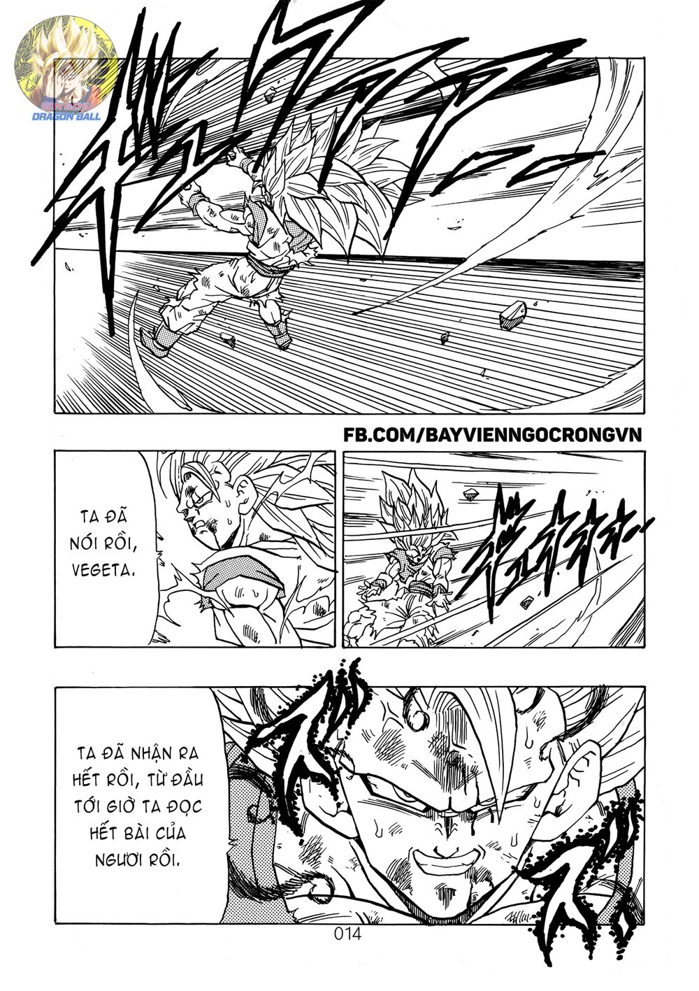 Dragon Ball After: Chapter 13