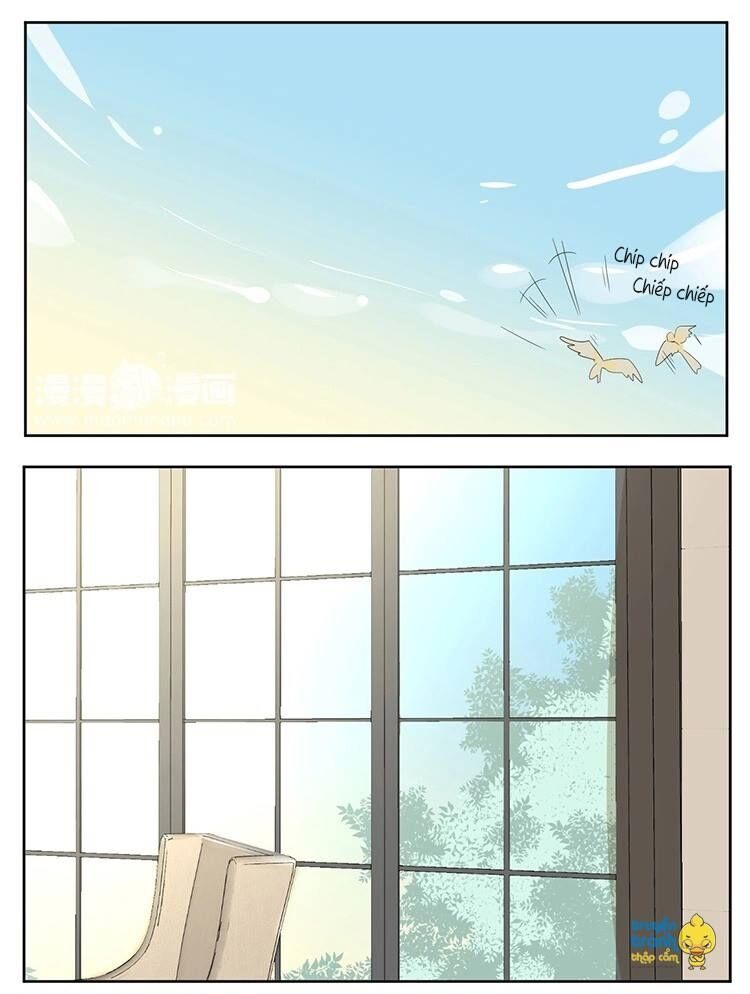 Cứu mạng ! Loài mèo thống trị thế giới rồi !: Chapter 15