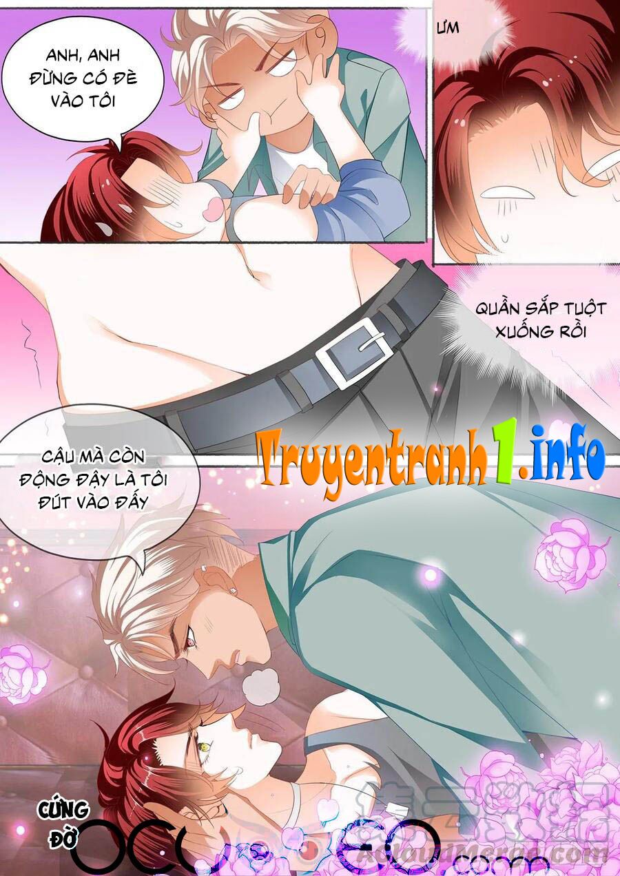 Bá Đạo Tiểu Thúc, Xin Trêu Chọc Vừa Thôi!: Chapter 155