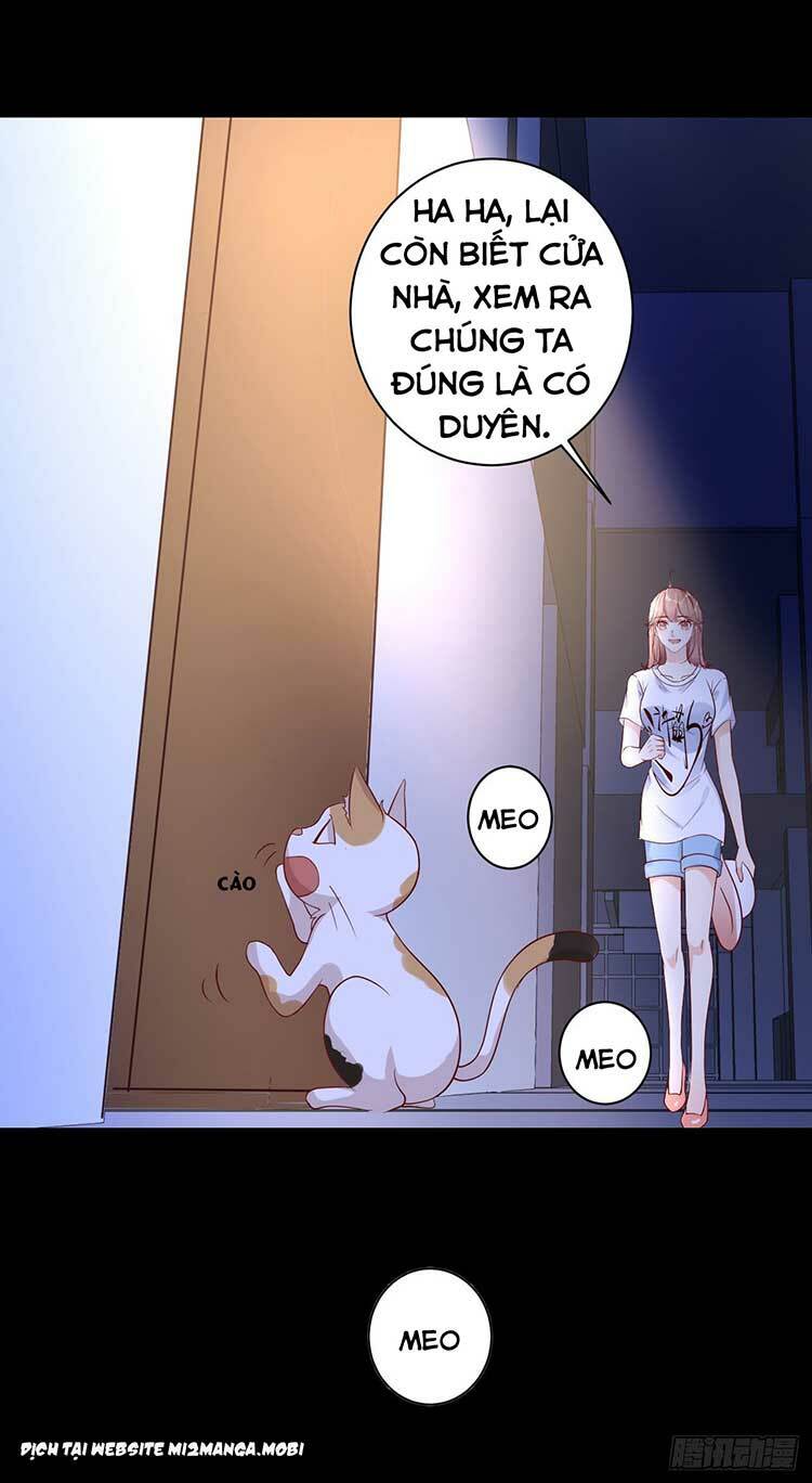 Náo Loạn Suốt Đời: Chapter 13