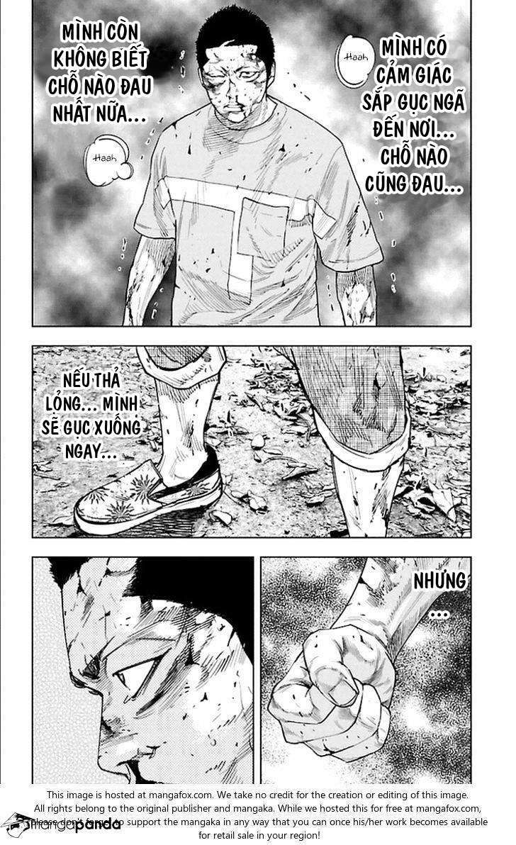 Clover: Chapter 338