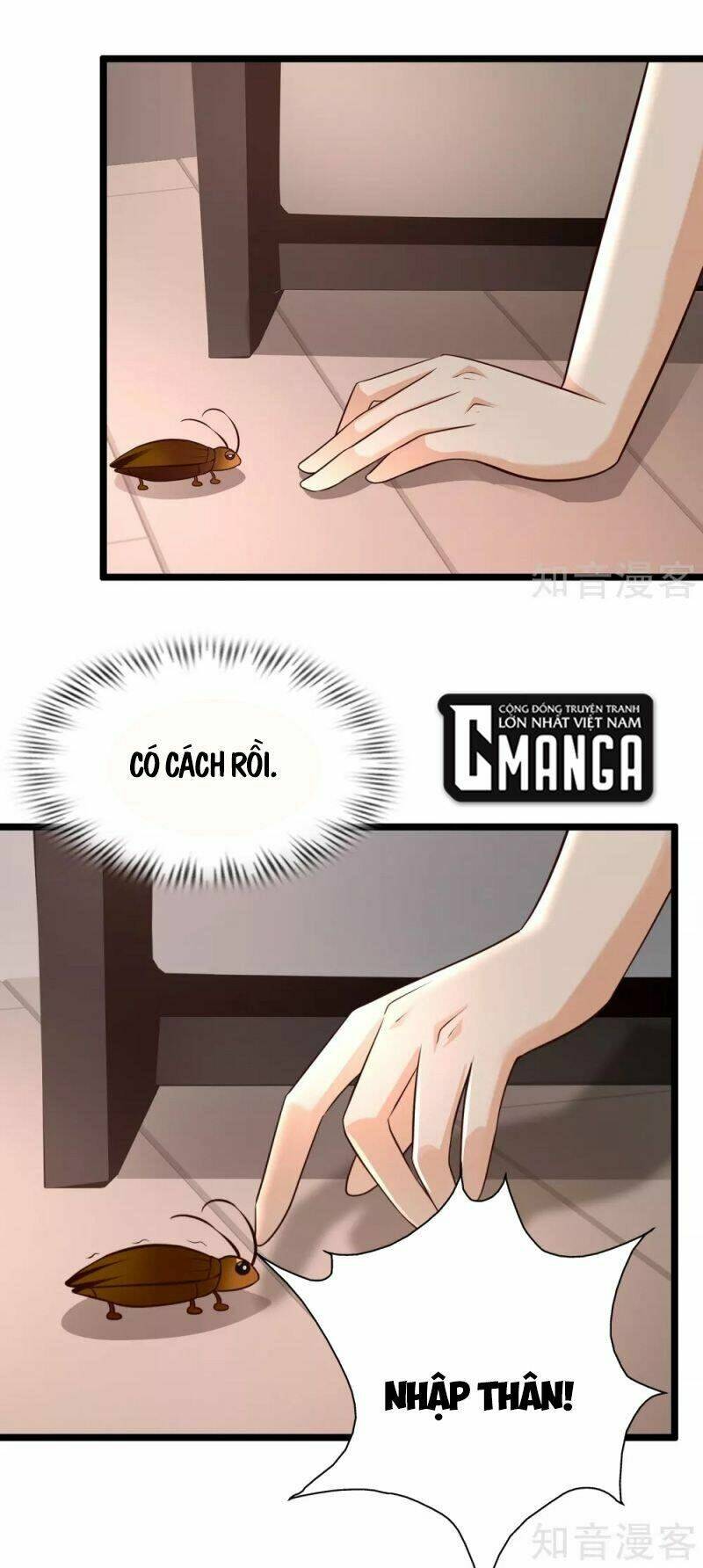 Tối Cường Vận Đào Hoa: Chapter 210