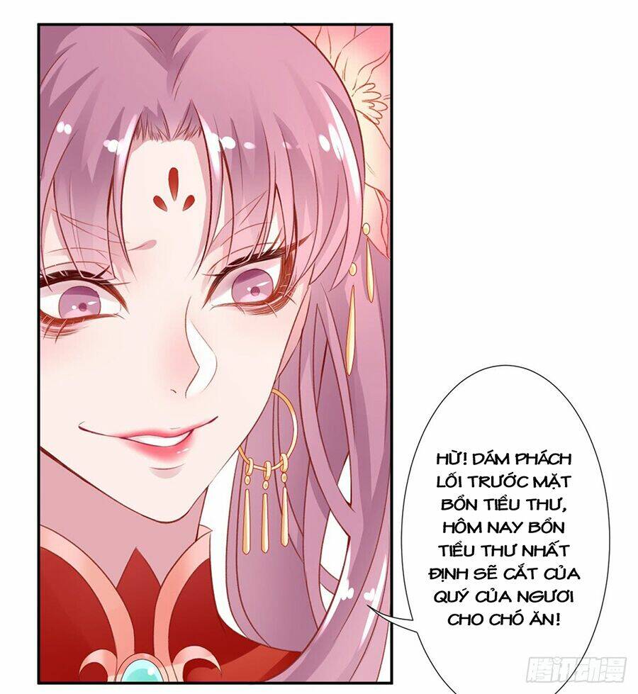 Hoàng Phi 9000 Tuổi: Chapter 8