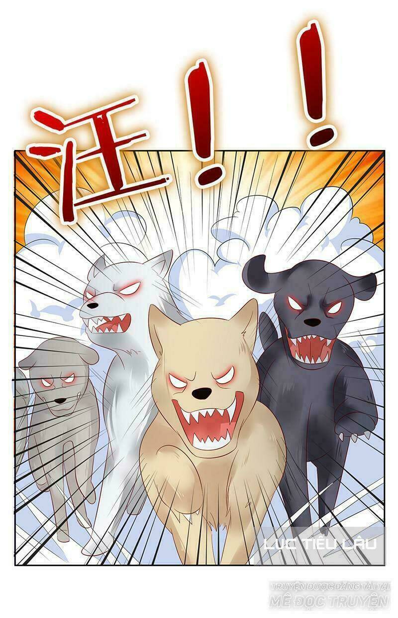 Băng Sơn Học Trưởng Không Được Chọc: Chapter 13