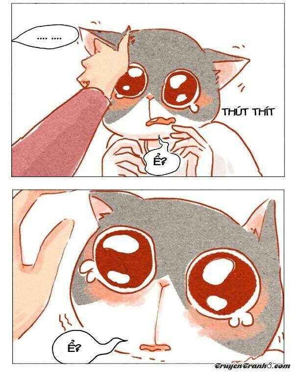 Hey, Your Cat Ears Are Showing: Chapter 2