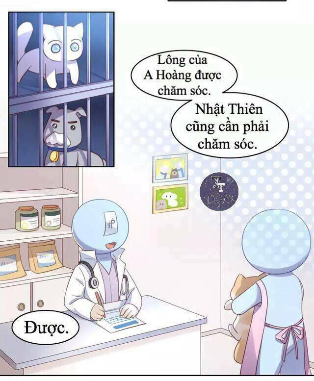 Dưới Móng Vuốt Mèo: Chapter 16